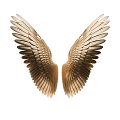 Obraz premium Golden angel wings spread wide isolated on transparent background