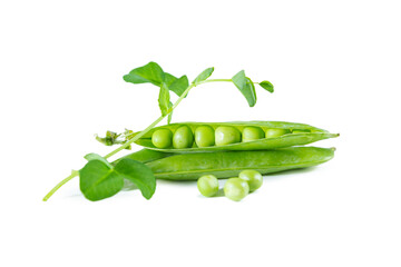 Green pea pods isolated on white background.