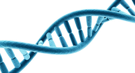 A blue DNA double helix structure on a transparent background. The strands twist elegantly, showcasing the molecular design and complexity of genetic material.