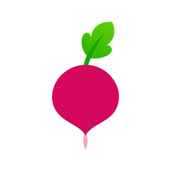 radish on transparent background