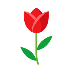 tulip on transparent background