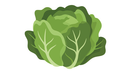 Fresh Green Cabbage Isolated on Black. This illustration features cabbage, vegetable, green.