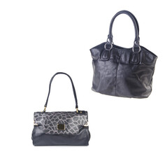 female handbag isolated on white
