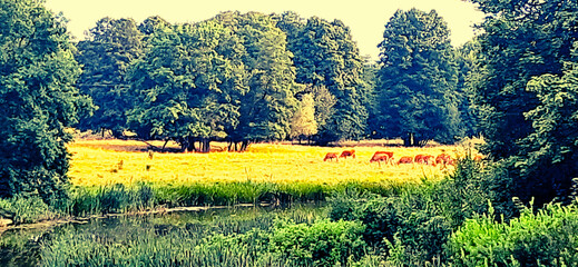 zegrze południowe zalew zegrzyński jezioro