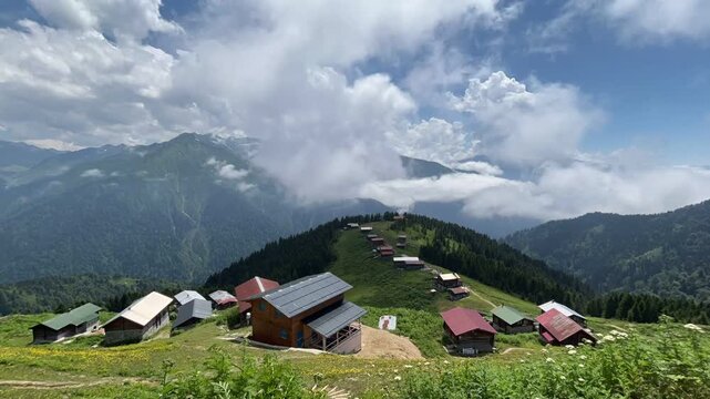 Ka&ccedil;kar Mountains National Park natural life