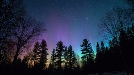 Naklejka premium Stunning Night Sky with Aurora Borealis and Silhouette of Trees