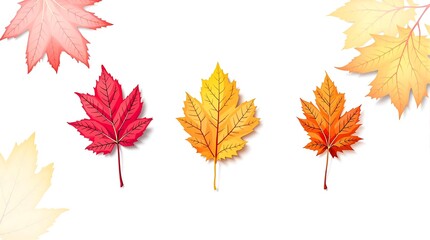 Three maple leaves in shades of red yellow and orange on a white background fall season illustration