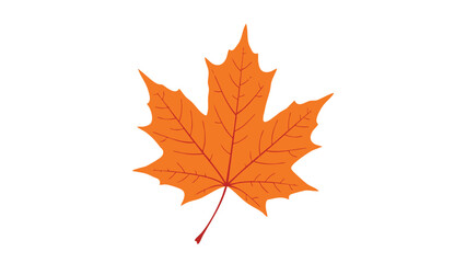 Obraz premium Vibrant Orange Maple Leaf Illustration. This illustration features leaf, maple, autumn.