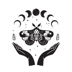 Moth butterfly vector illustration. Black simple butterfly on a white background. Esoteric tattoo illustration of celestial butterfly and moon cycle.