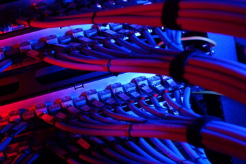 Colorful Network Cables in Server Room