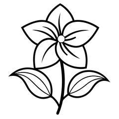 black and white flower