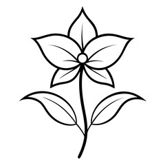 black and white flower