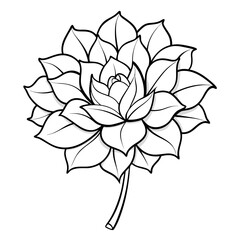 vector illustration of a flower