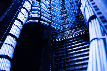 Network Cables and Server Rack Perspective