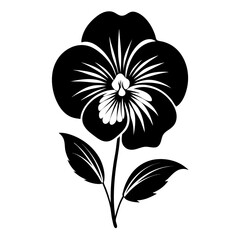 black and white flower isolated