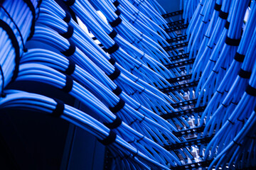 Blue Network Cables in Technology Setup