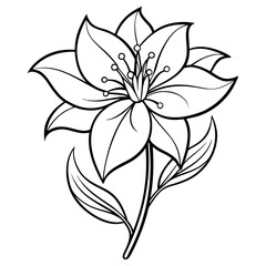black and white flower