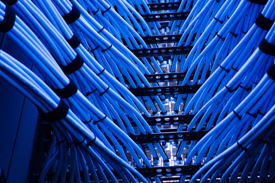 Blue Network Cables in Data Center - Powered by Adobe