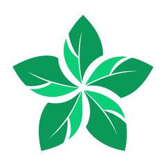 vector illustration of a flower