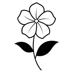 black and white flower