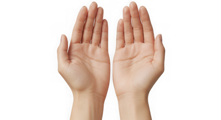 Two open human hands palms facing forward isolated on transparent background