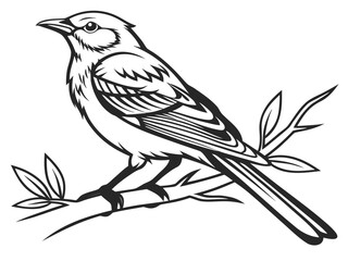 vector illustration of a bird