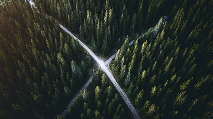Aerial view of a forest trail splitting into two paths, symbolizing choices and nature.