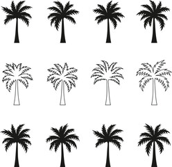 Obraz premium Silhouetted Palm of Trees Collection 