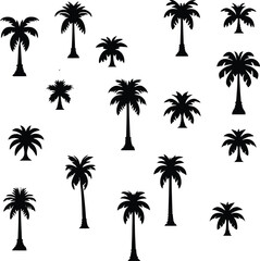 Silhouetted Palm of Trees Collection 