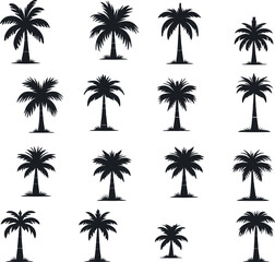 Silhouetted Palm of Trees Collection 