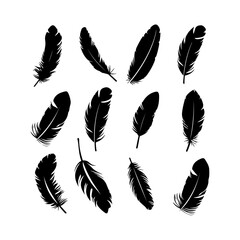 free flying feather silhouette