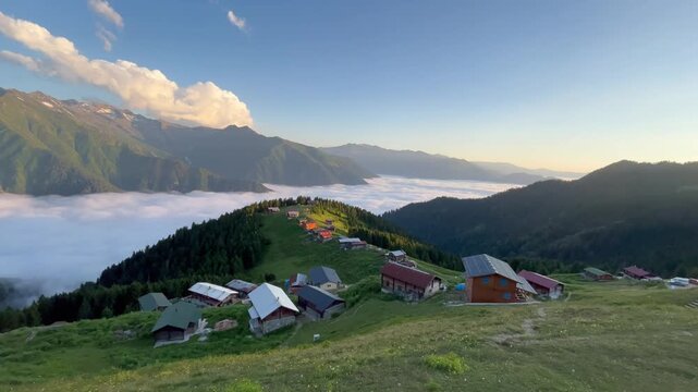 Ka&ccedil;kar Mountains National Park natural life