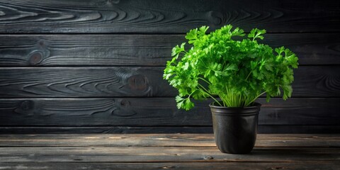 A vibrant bunch of fresh parsley in a dark pot, set against a rustic wooden backdrop, presents a captivating image for culinary or gardening contexts.