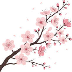 A beautiful pink cherry blossom branch blooms in spring, showcasing the delicate beauty of Japanese sakura flowers