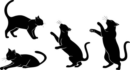 black silhouettes of cats