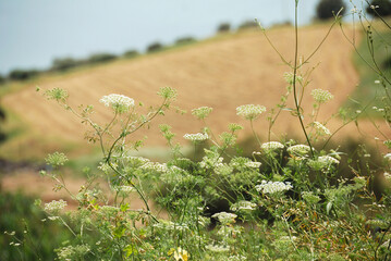 Mar de Galilea, Norte de Israel