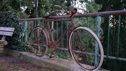 Fototapeta premium bicycle in the park
