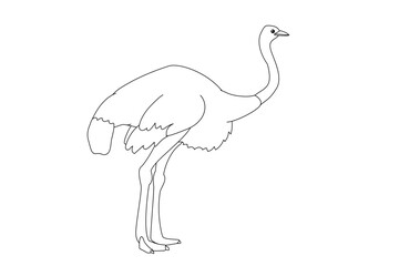 vector cartoon animal isolated on transparent background. black and white style
