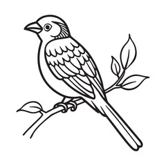 Fototapeta premium Simple black and white line drawing of a sparrow perched on a branch with leaves