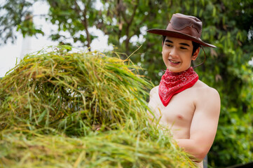 Young shirtless handsome cowboy working with hay preparing  to feed horse in horse ranch
