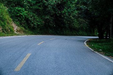 Curved forest road surrounded by dense green trees in a tranquil natural landscape