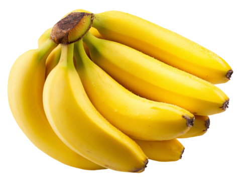  Bunch of ripe bananas with rich yellow color and brown stem