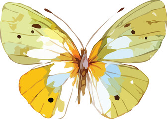 butterfly vector art