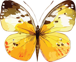 butterfly vector art