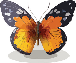 butterfly vector art