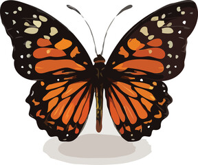 butterfly vector art