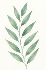 Obraz premium Watercolor painting of a delicate green sprig against a white background. The leaves have a soft, gentle hue.