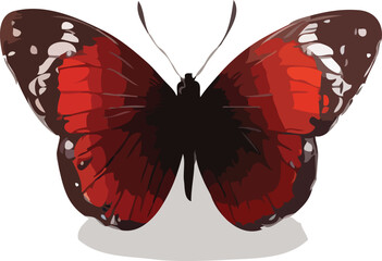 butterfly vector art