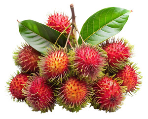 Freshly harvested cluster of vibrant red and yellow rambutan fruits with green leaves on black background