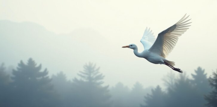 Ghostly crane silhouettes, blurred motion, pure white, animal, art, birds
